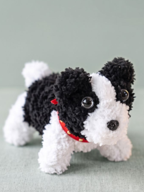 Pipe cleaner Border Collie puppy