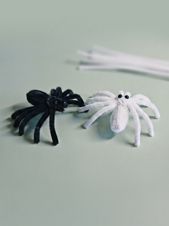 Pipe cleaner spiders